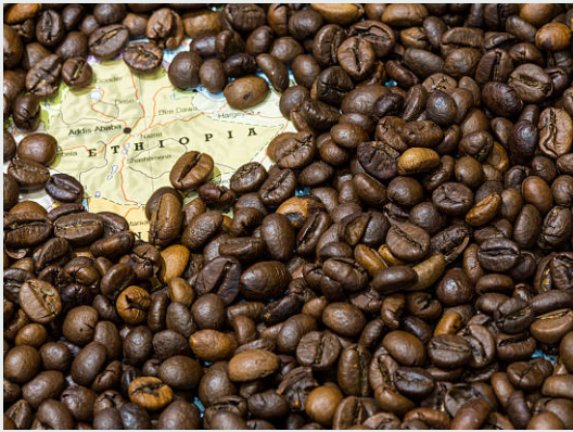 Ethiopian coffee beans spilling from a jute sack